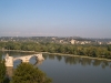 avignon03.jpg