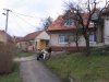 trikralova-sbirka-2007-23.jpg